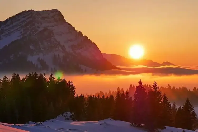 Sex Date Appenzell
