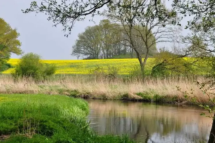 Sex Date Mecklenburg